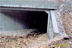 Brcke